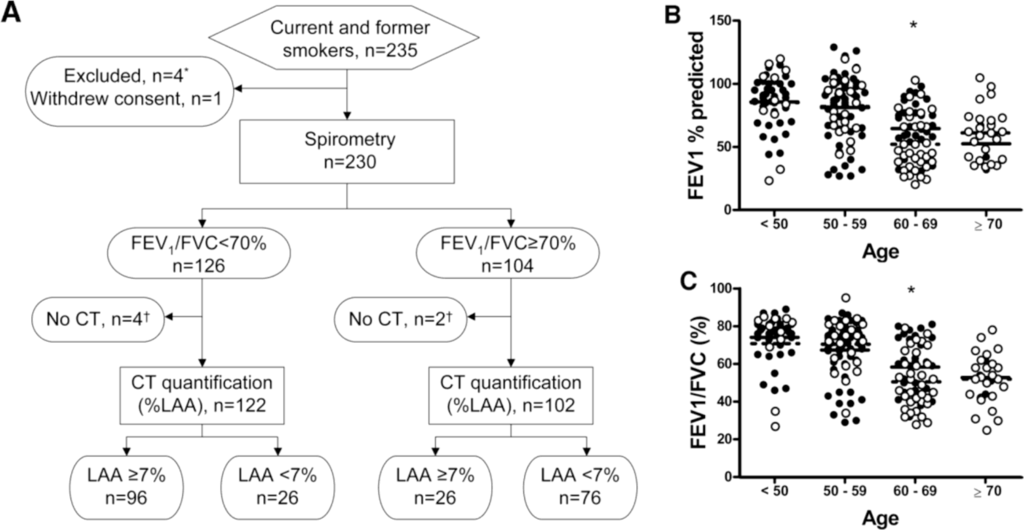 How do you interpret a pulmonary function test?