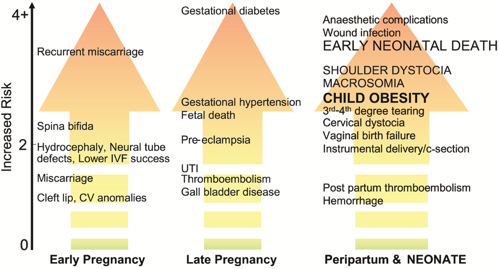 obesity and pregnant women outcomes Physical activity in pregnant women with class iii obesity: impact of maternal obesity on perinatal and childhood outcomes cambridge core to. obesity and pregnant women outcomes Physical activity in pregnant women with class iii obesity: impact of maternal obesity on perinatal and childhood outcomes cambridge core to.