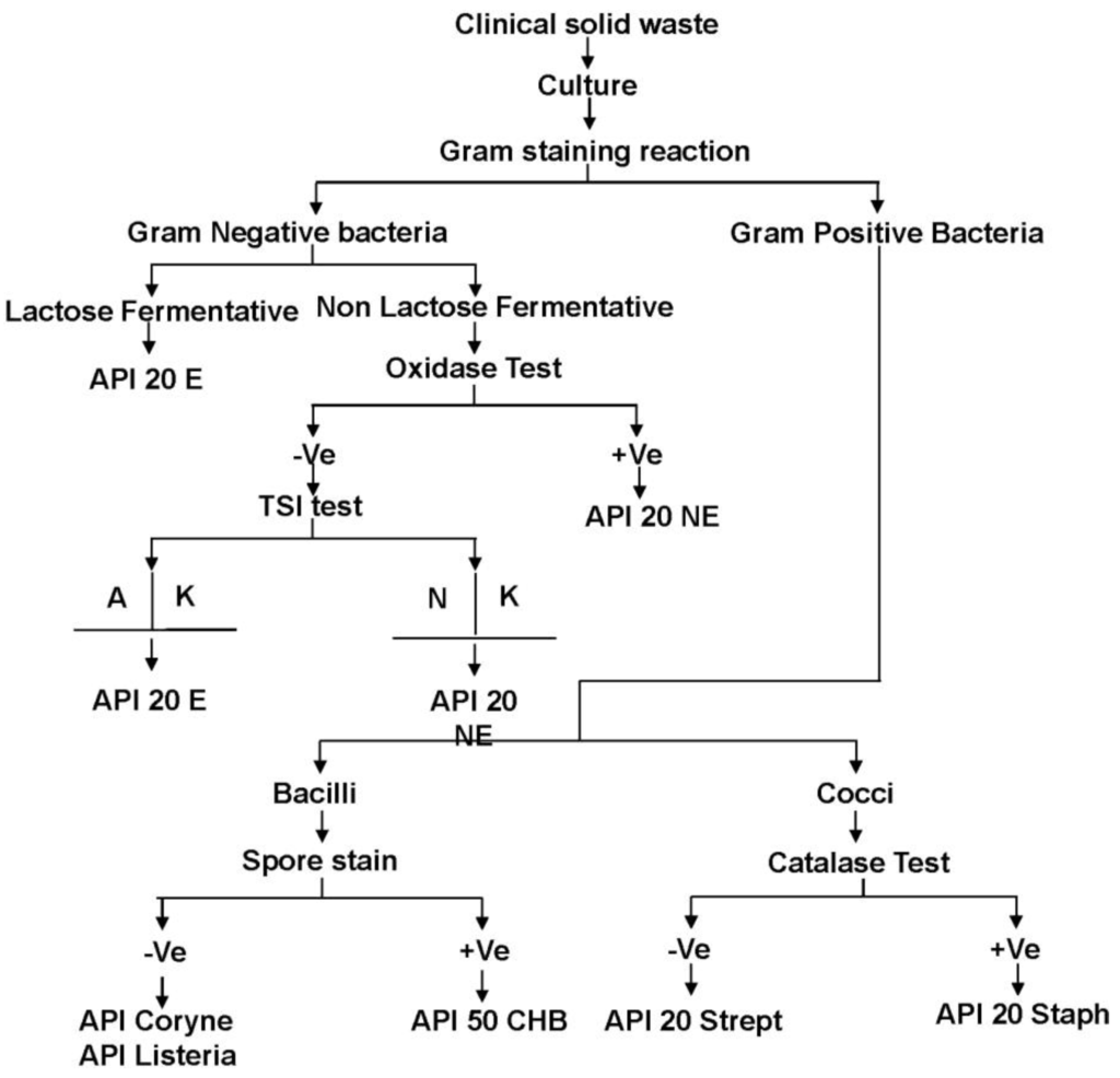 Microbiology Flow Chart Gram Negative