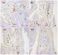 Ijerph 10 01775 g001 200