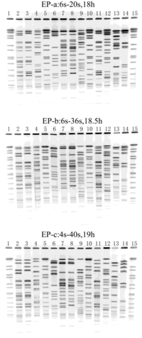Ijerph 10 02720 g001 200