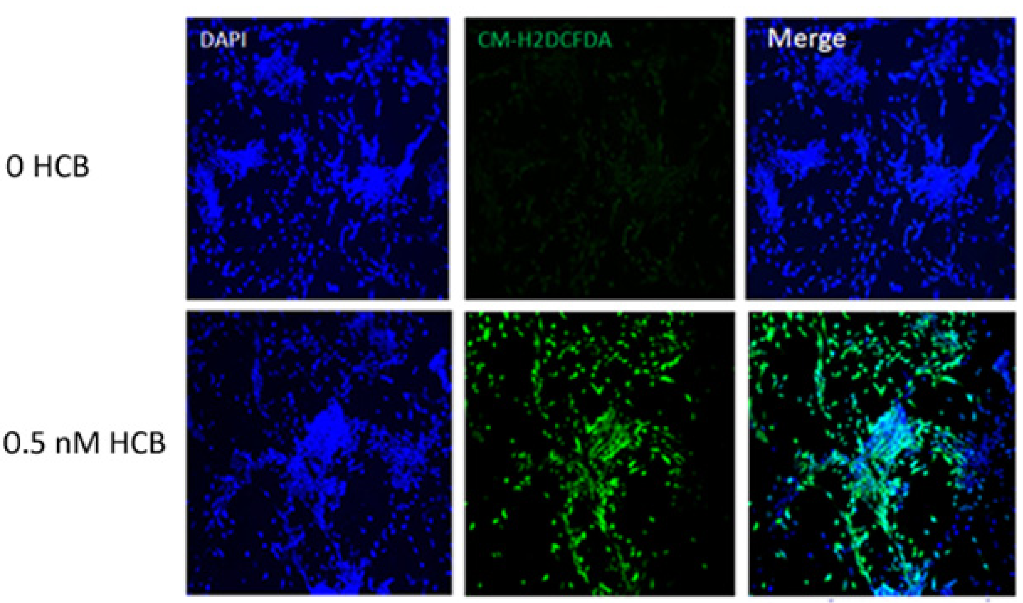 Ijerph 10 05244 g004