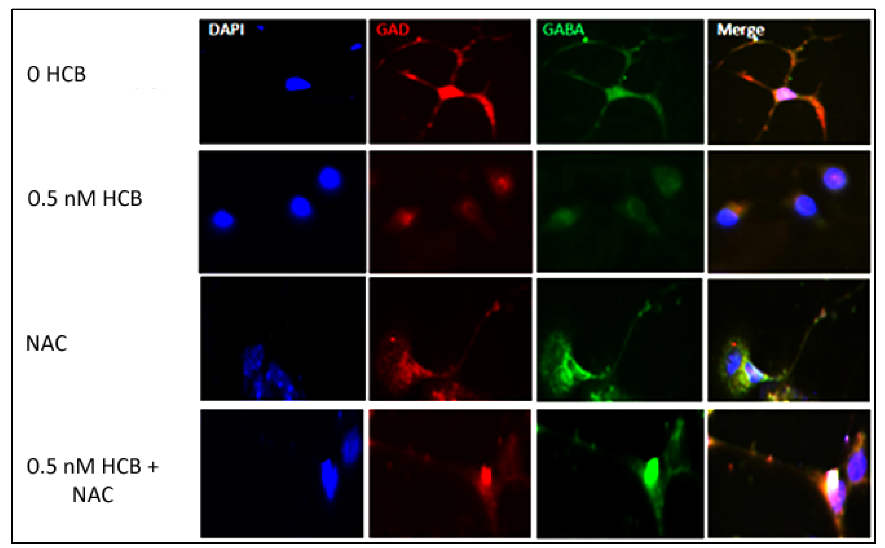 Ijerph 10 05244 g005