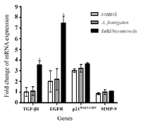 Ijerph 11 00337 g004 200