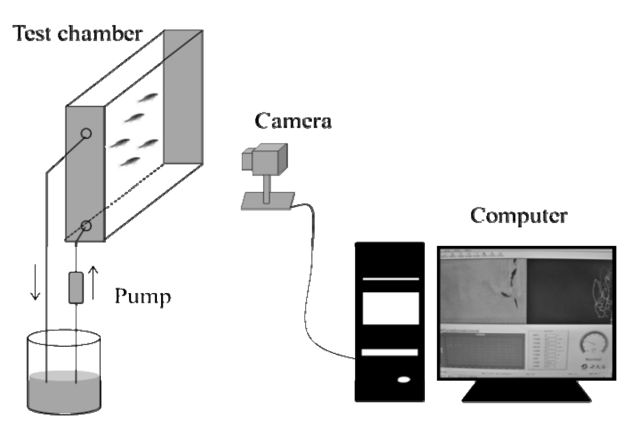 Ijerph 11 03650 g001