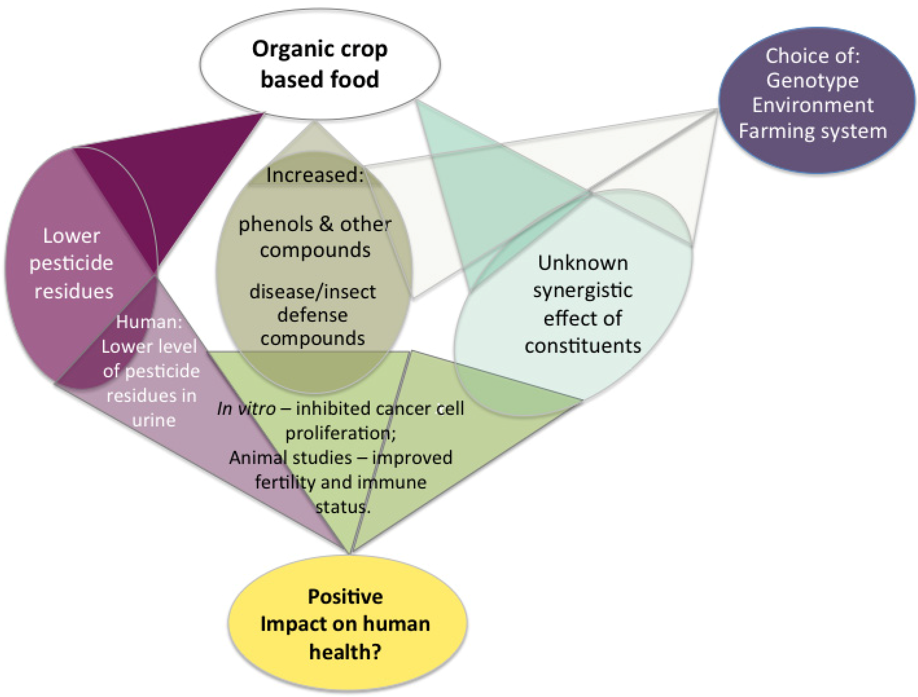 about knowledge essay vegetables in tamil