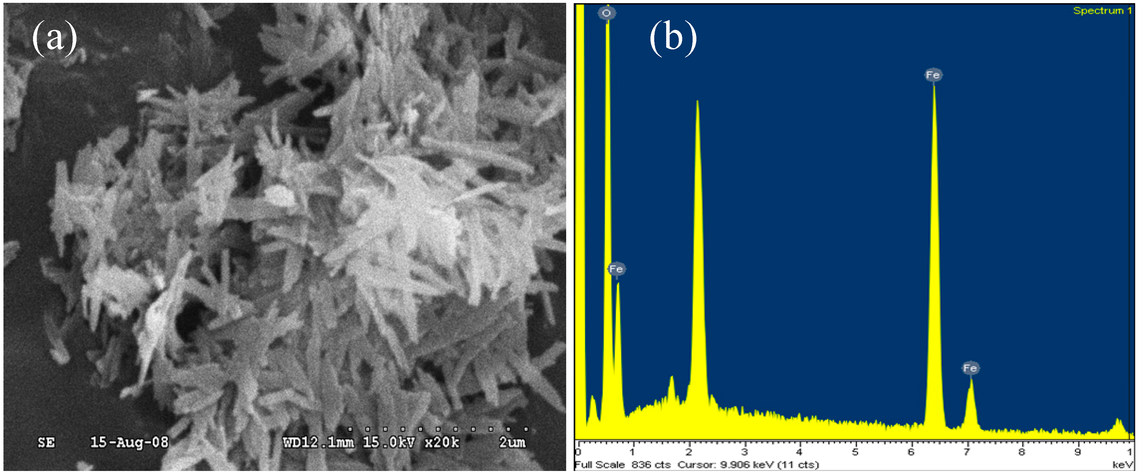 Ijerph 11 09325 g002