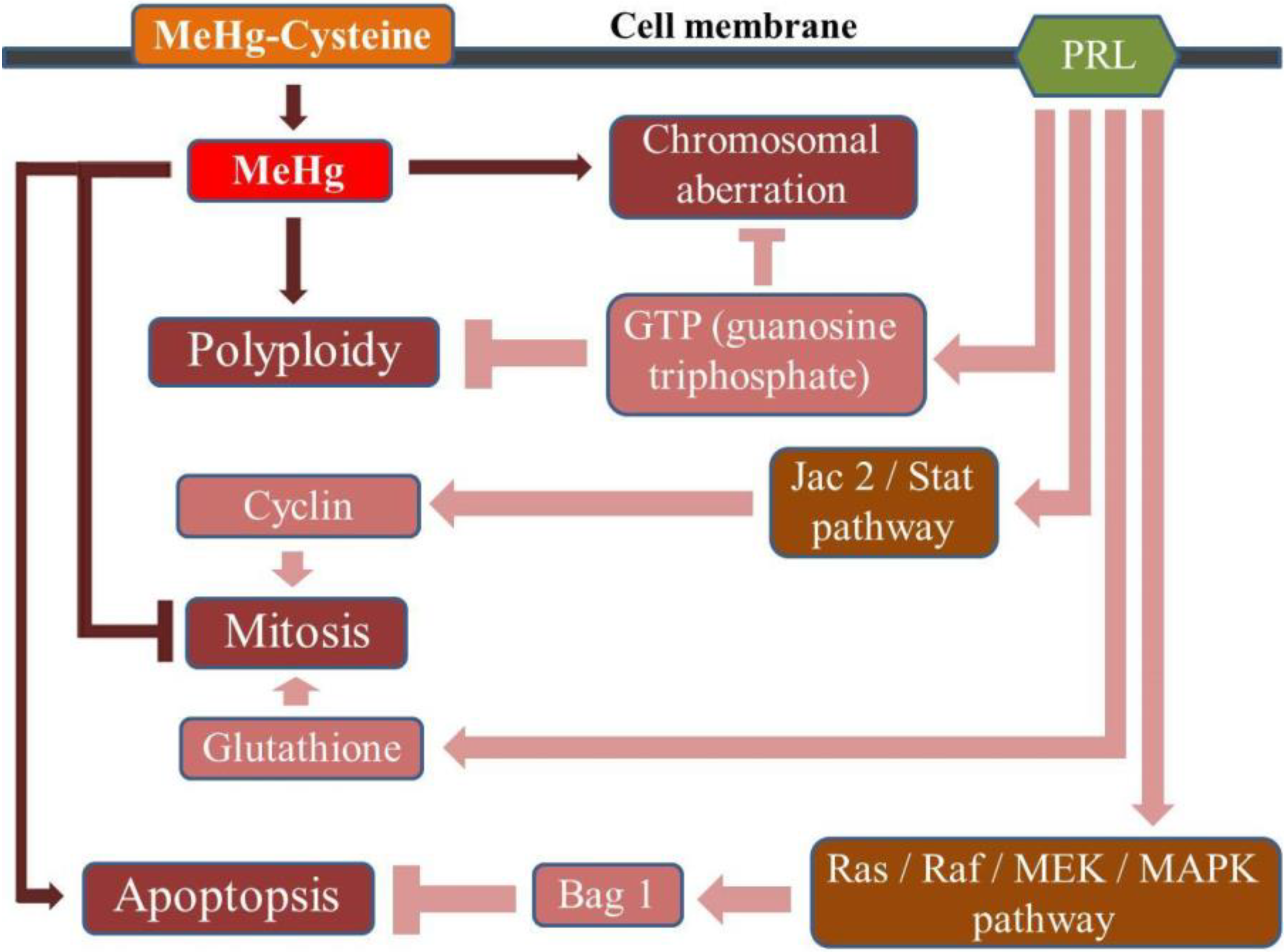 Ijerph 11 09822 g002