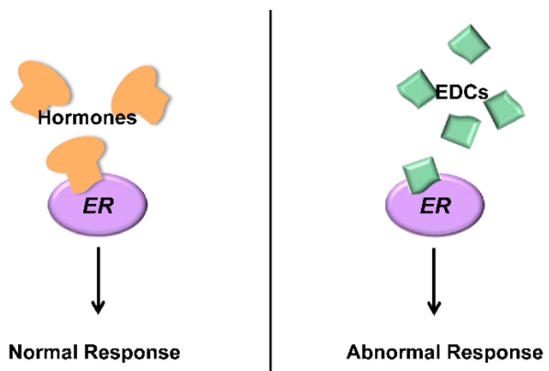 estrogen receptor binding assay kit The pathscan ® total estrogen receptor α sandwich elisa kit is a solid phase sandwich enzyme-linked immunosorbent assay (elisa) that detects endogenous levels of estrogen receptor α protein an estrogen receptor α rabbit mab has been coated onto the microwells. estrogen receptor binding assay kit The pathscan ® total estrogen receptor α sandwich elisa kit is a solid phase sandwich enzyme-linked immunosorbent assay (elisa) that detects endogenous levels of estrogen receptor α protein an estrogen receptor α rabbit mab has been coated onto the microwells.