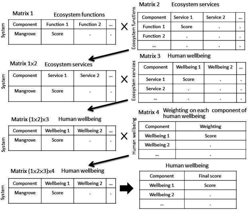 Case-Based Reasoning and Expert Systems - DFKI