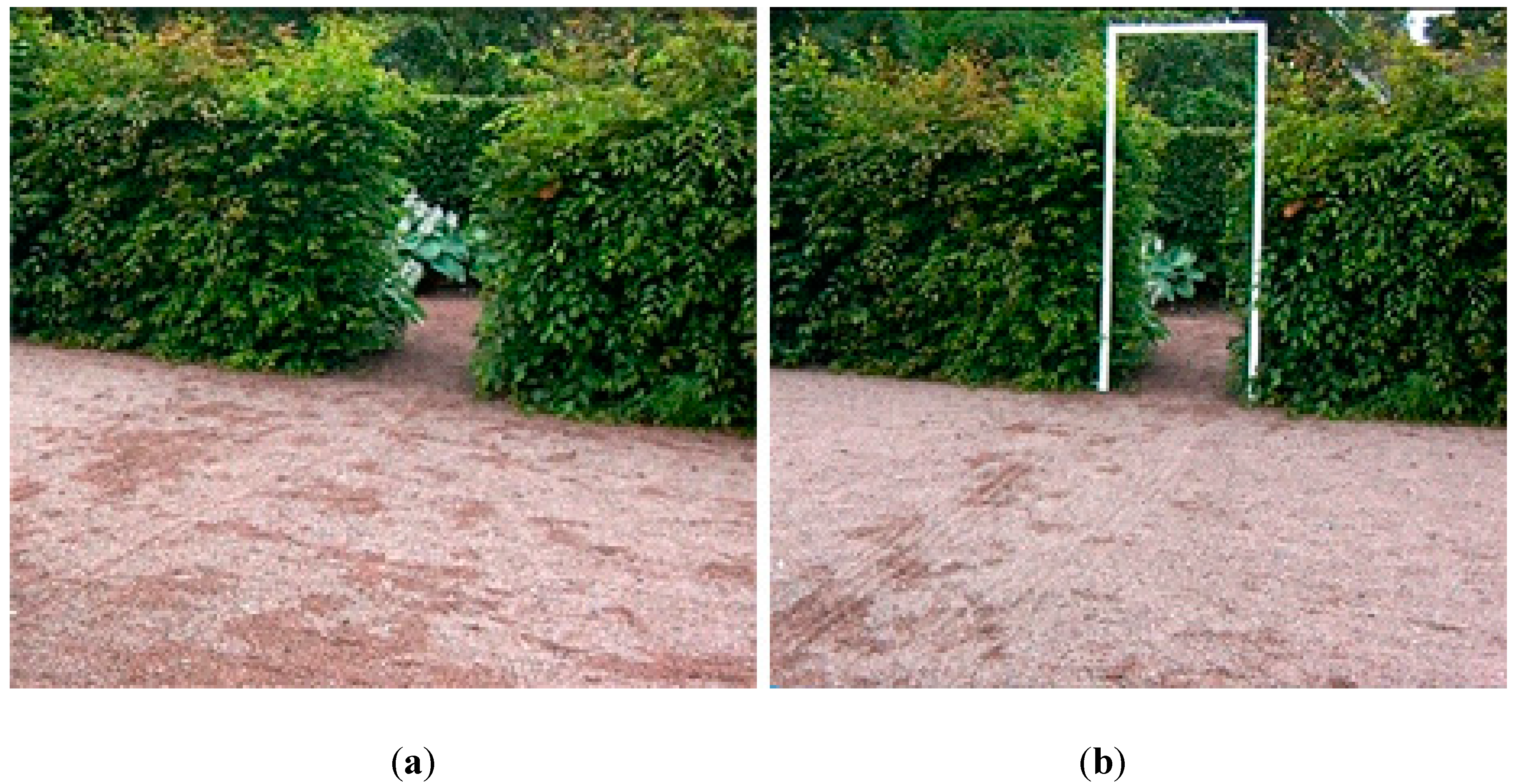 Ijerph 12 07274 g001