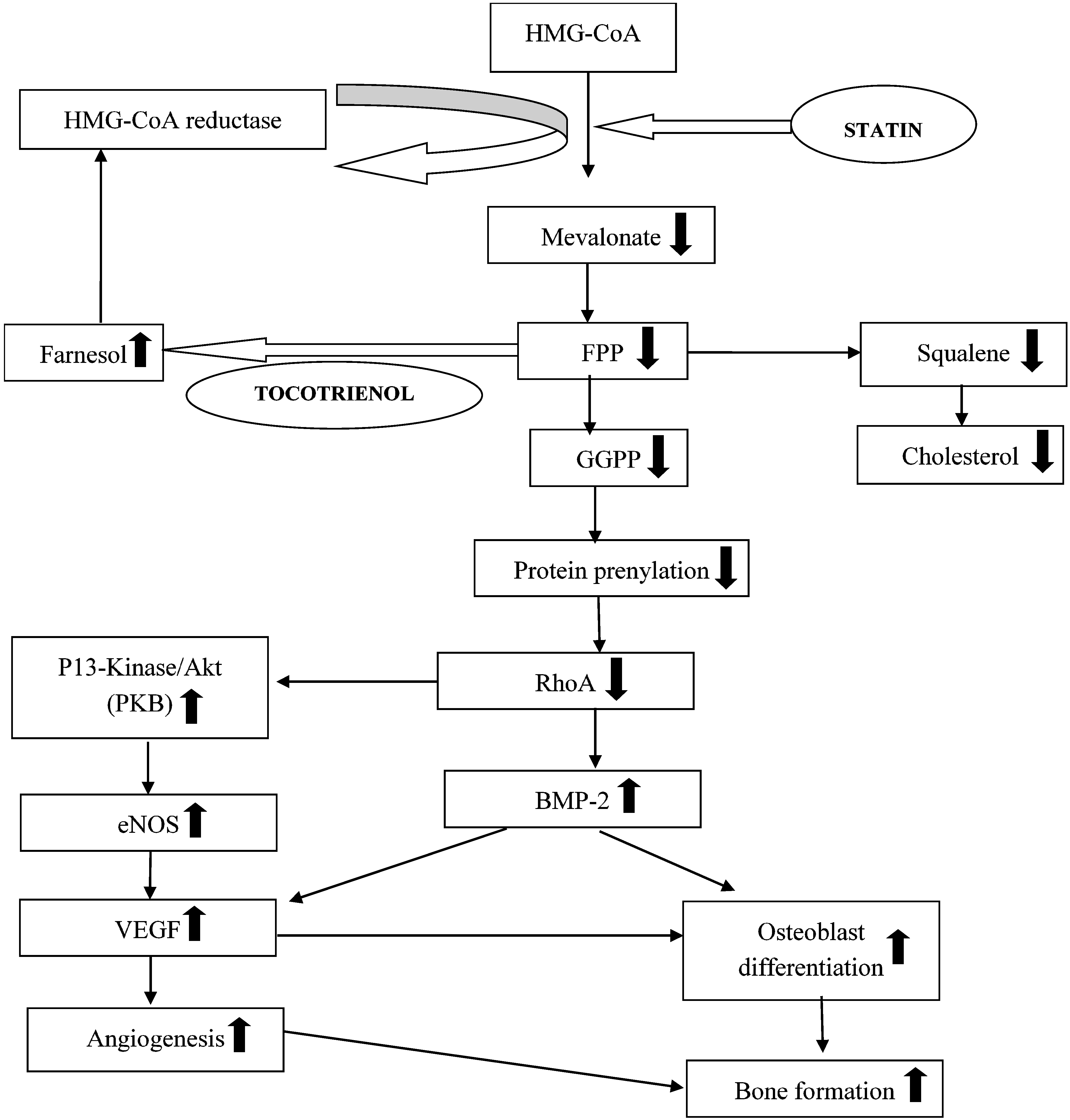 Ijerph 12 12958 g010