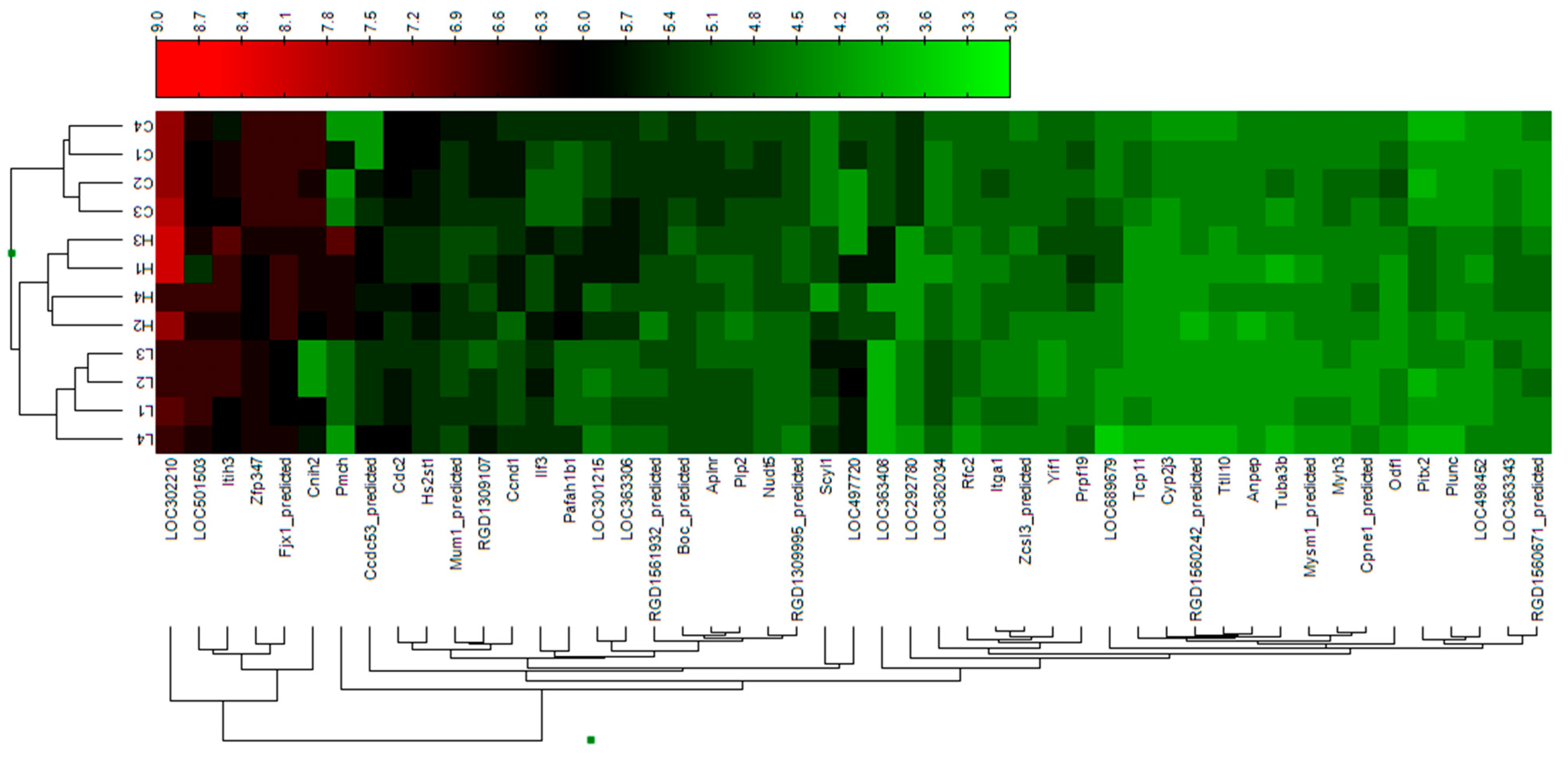 download schefferschachtschabel soil