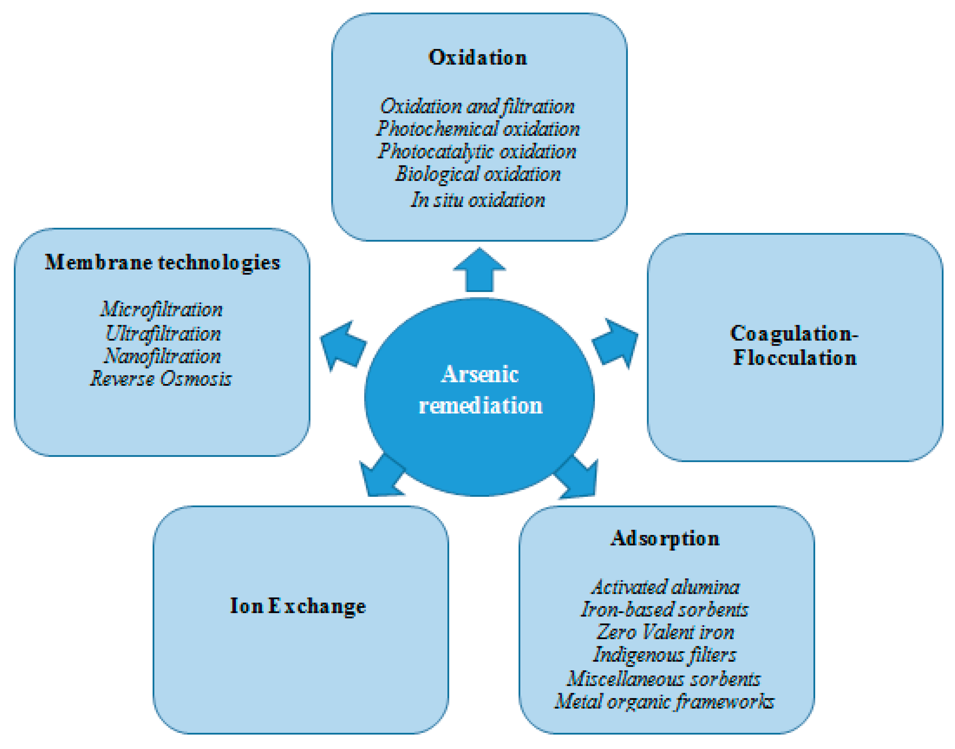 shop structure function