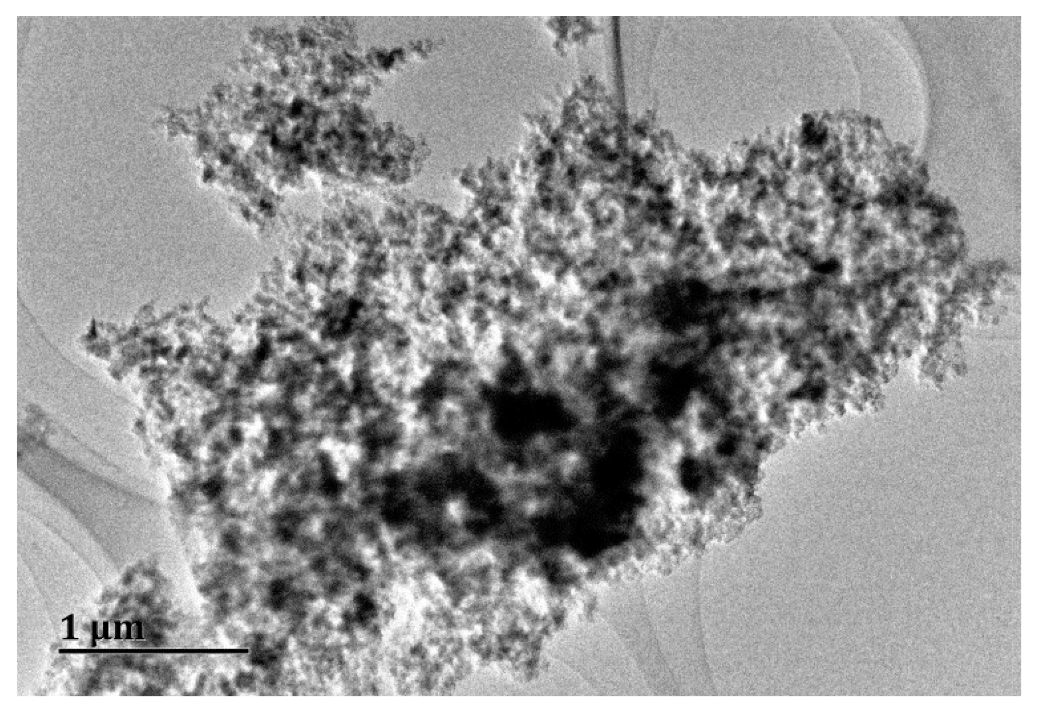 Ijerph 13 00575 g001