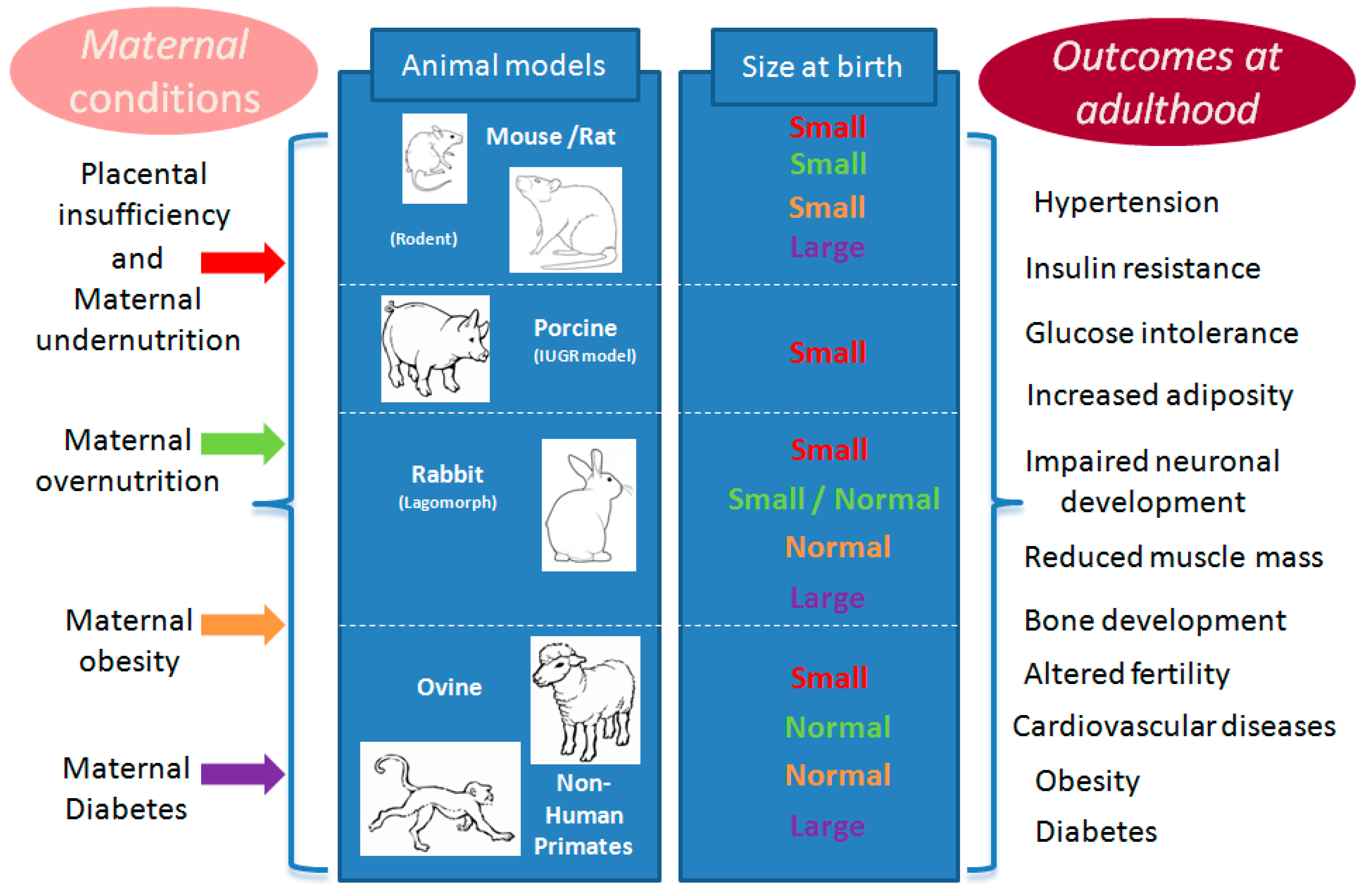 nutrition obesity 3 essay Childhood obesity increases of child and adolescent overweight and obesity, 28,55 which comprises representatives from 15 national health and nutrition. nutrition obesity 3 essay Childhood obesity increases of child and adolescent overweight and obesity, 28,55 which comprises representatives from 15 national health and nutrition.