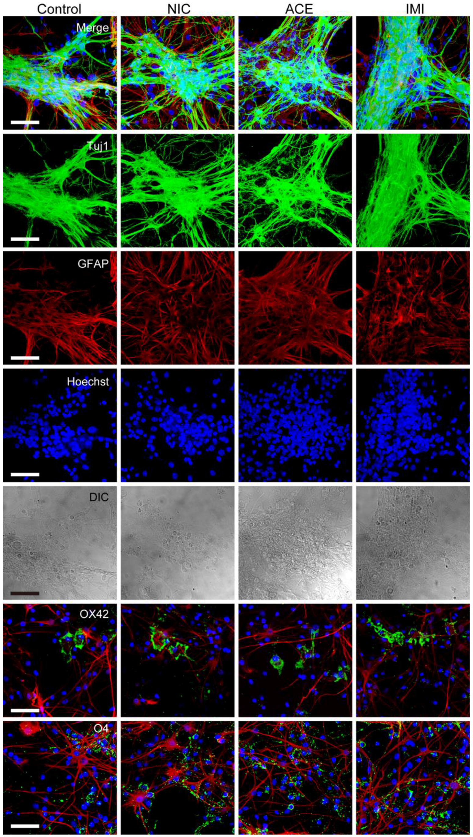 Ijerph 13 00987 g001