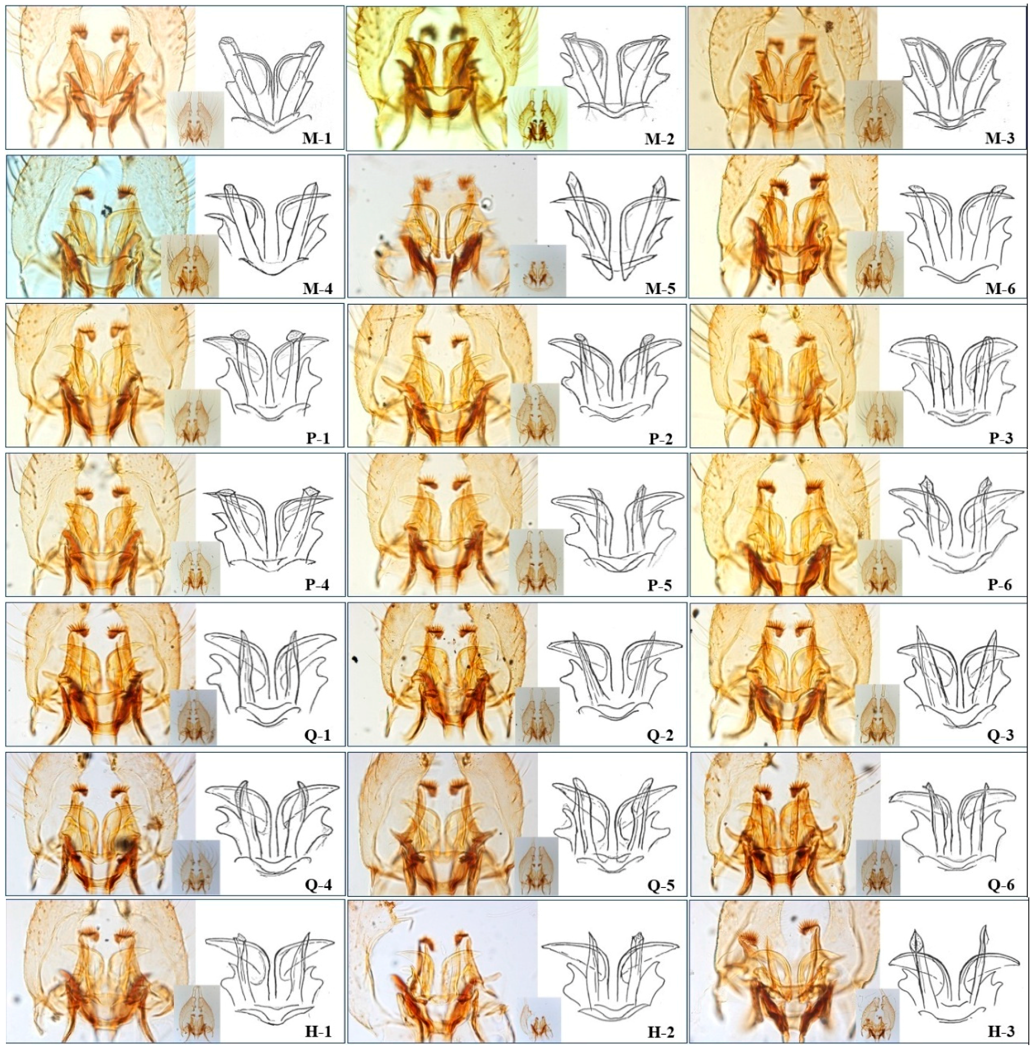 Ijerph 13 01150 g003