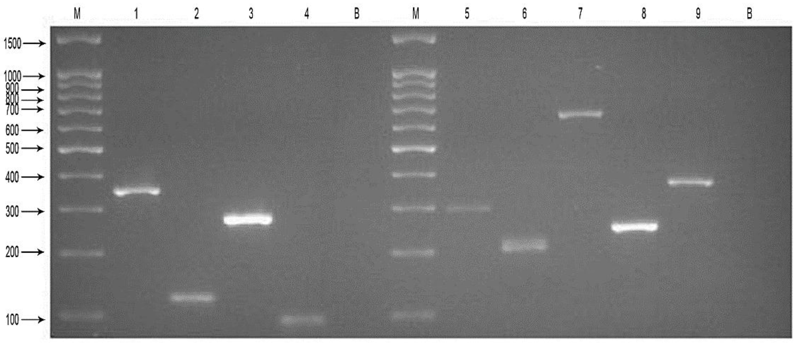 Buy essay online cheap lab report of the experiment of conjugation of e. coli