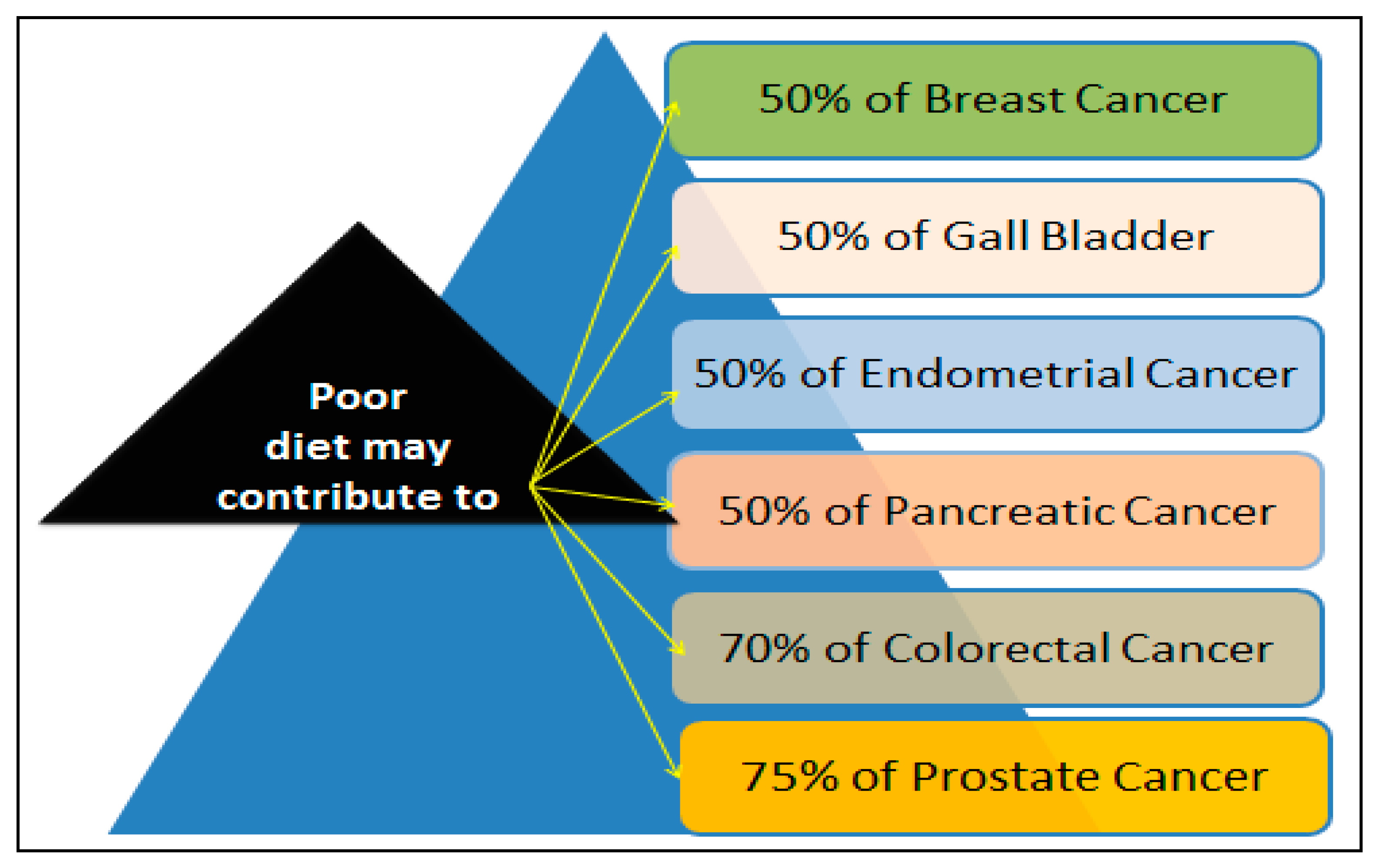 essay on the gallbladder essay on the gallbladder
