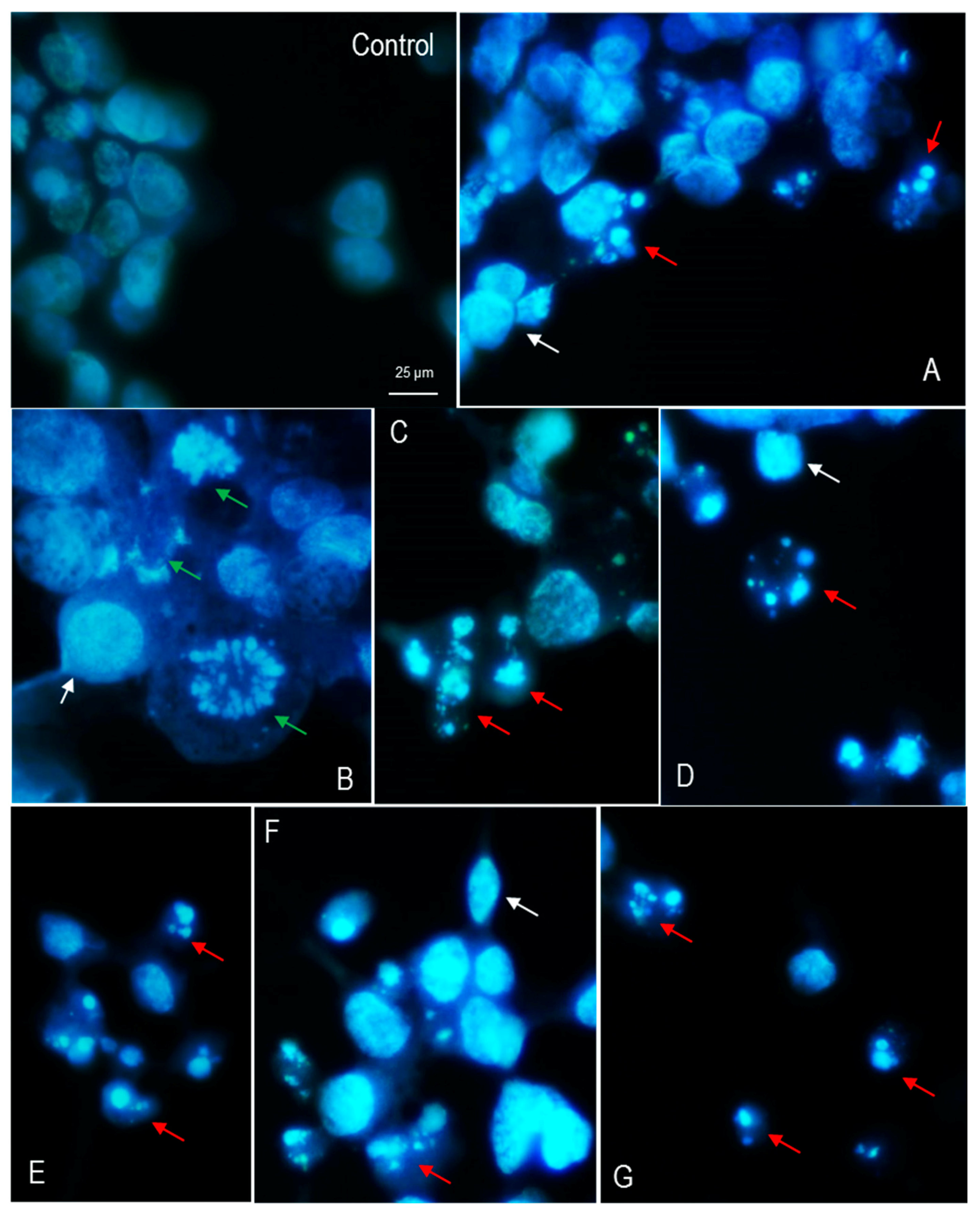 Ijerph 14 00933 g003