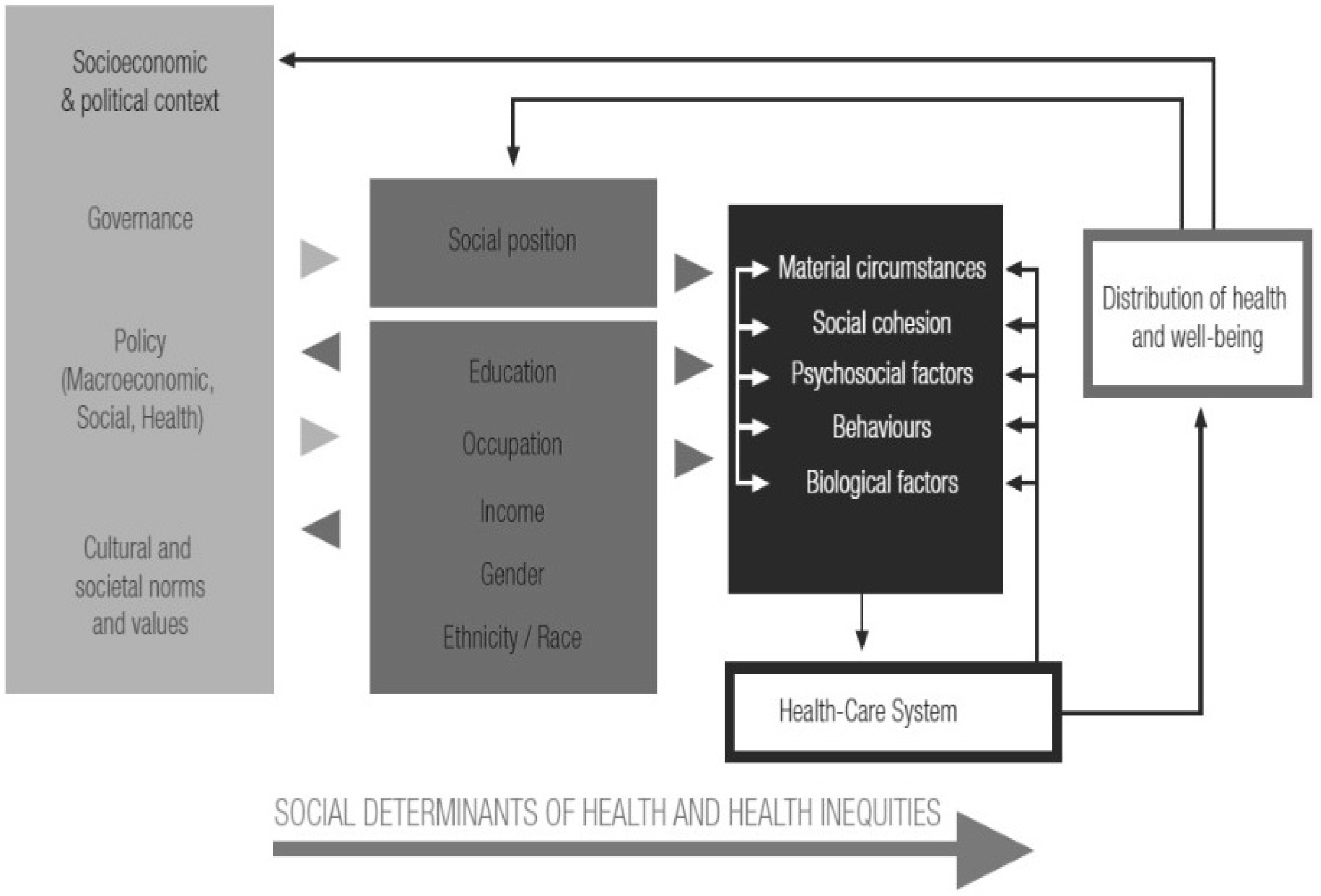 Social determinants of health essay