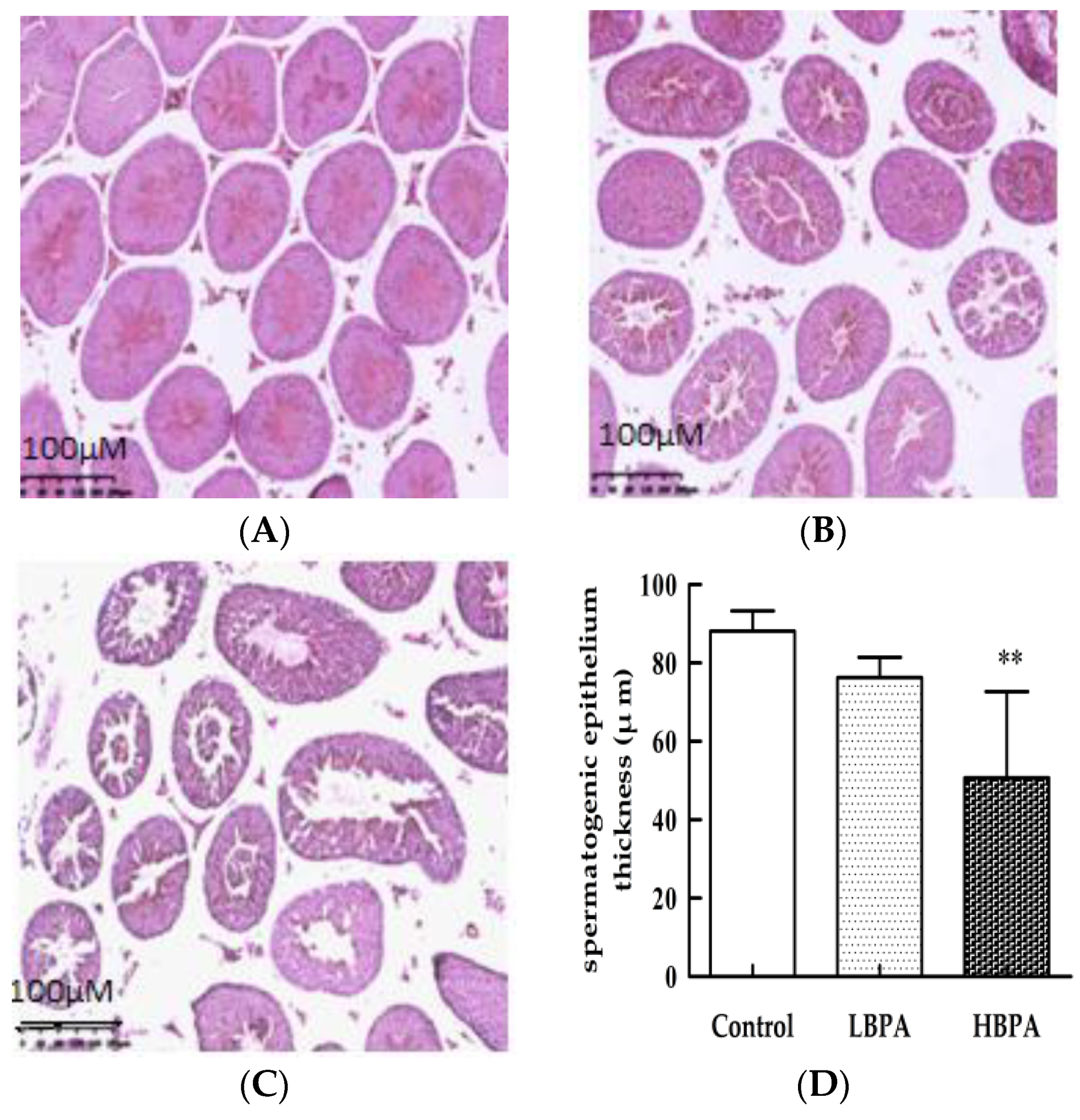 Ijerph 15 02158 g005
