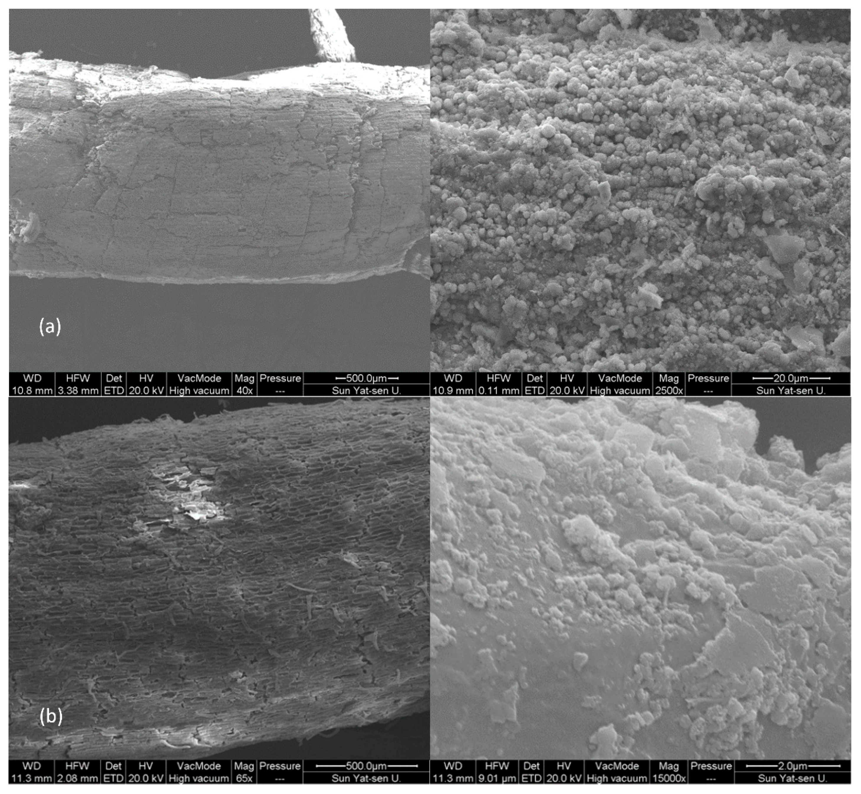 Ijerph 15 02610 g001a