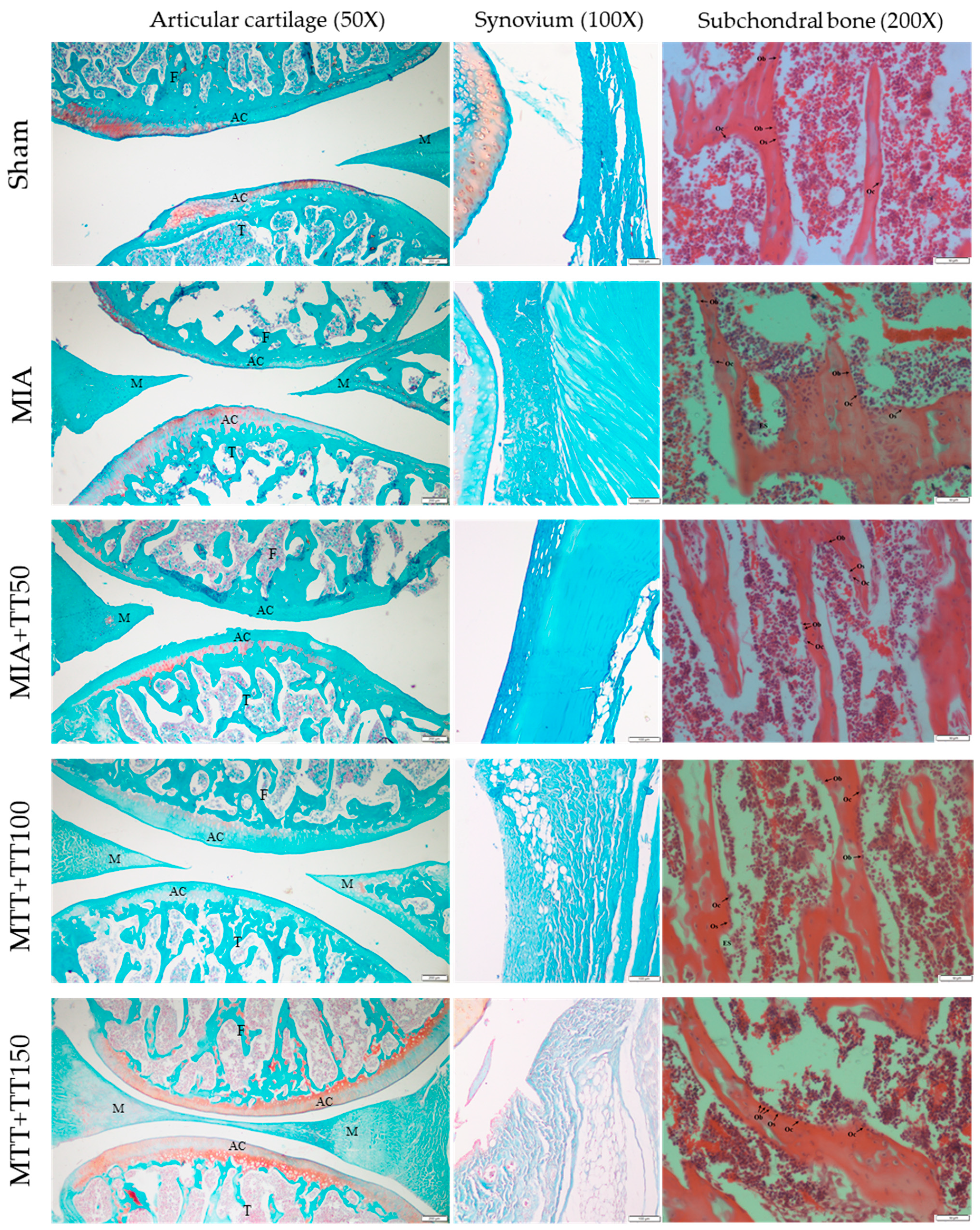 Ijerph 16 02897 g002