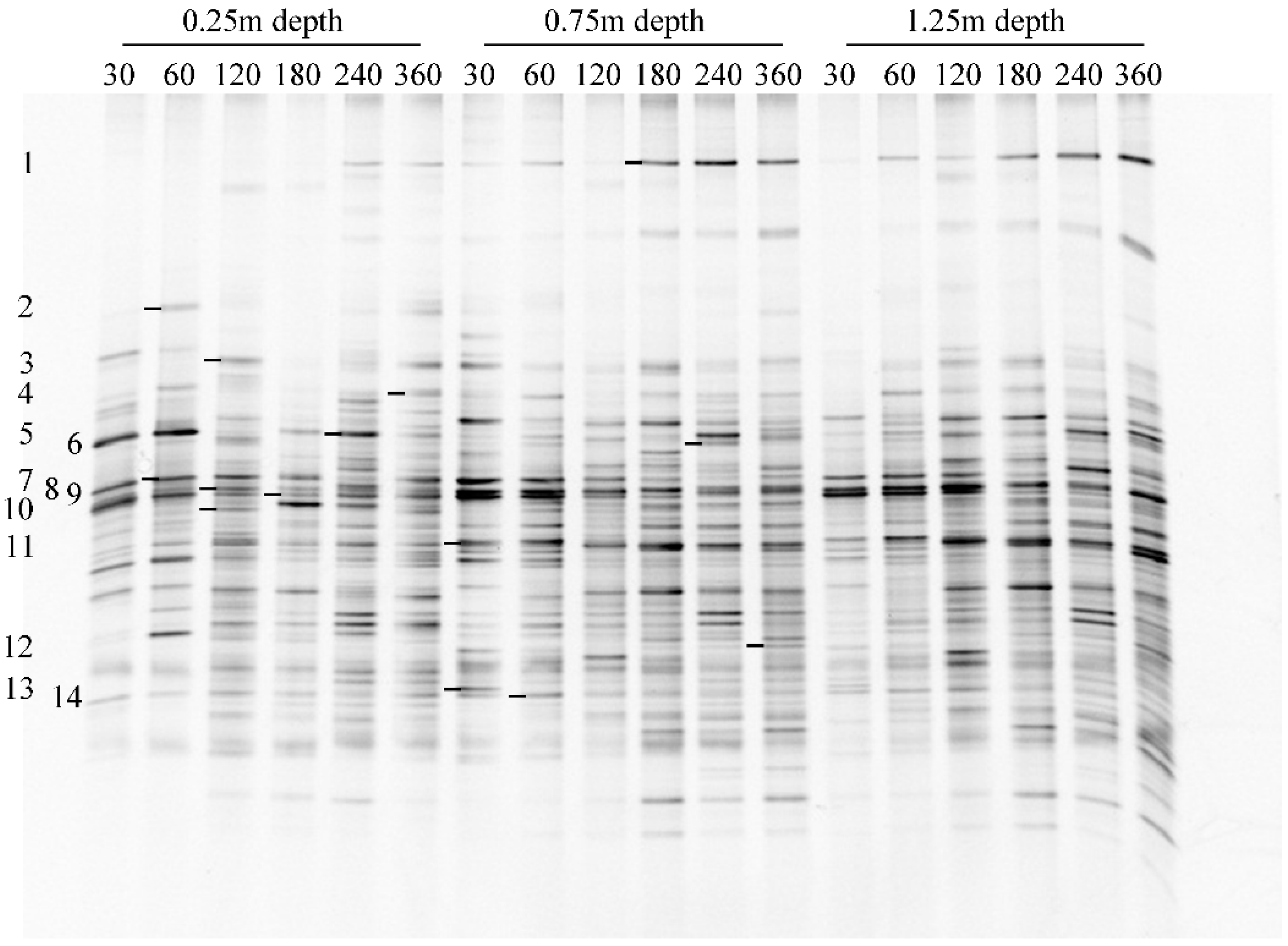 Ijerph 16 03112 g003 Ijerph 16 03112 g003