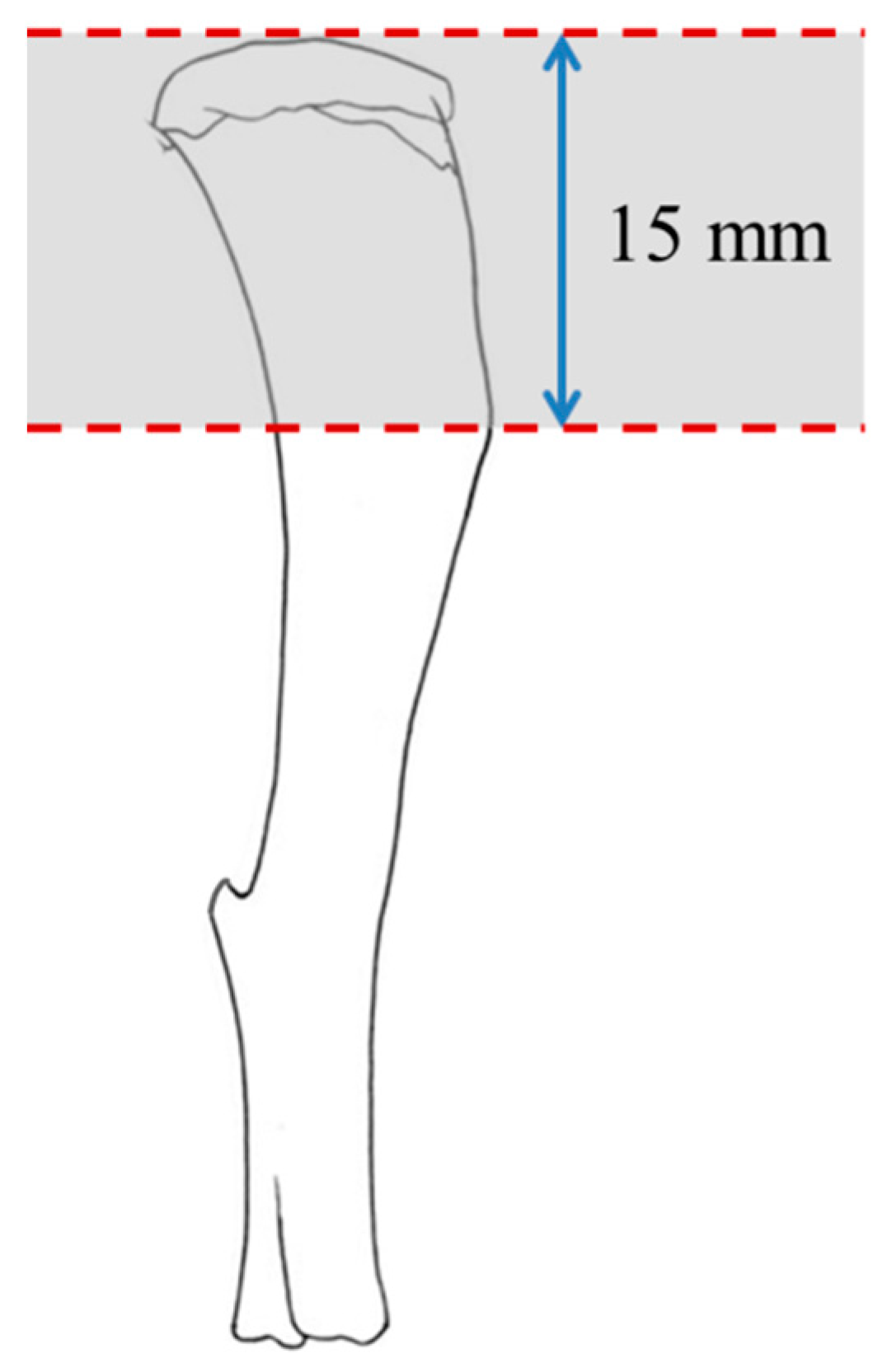 Ijerph 16 03313 g001