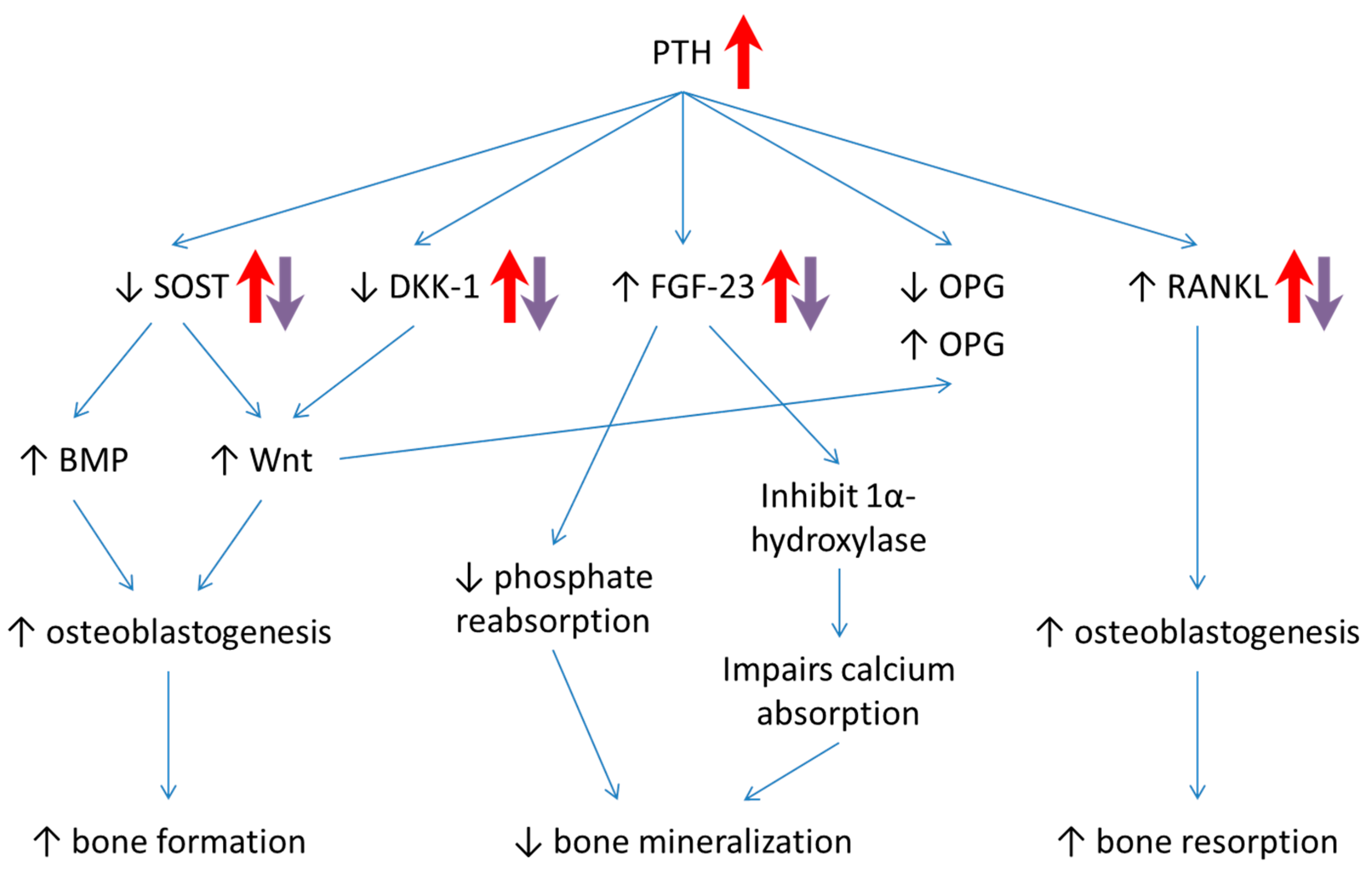 Ijerph 16 03313 g004