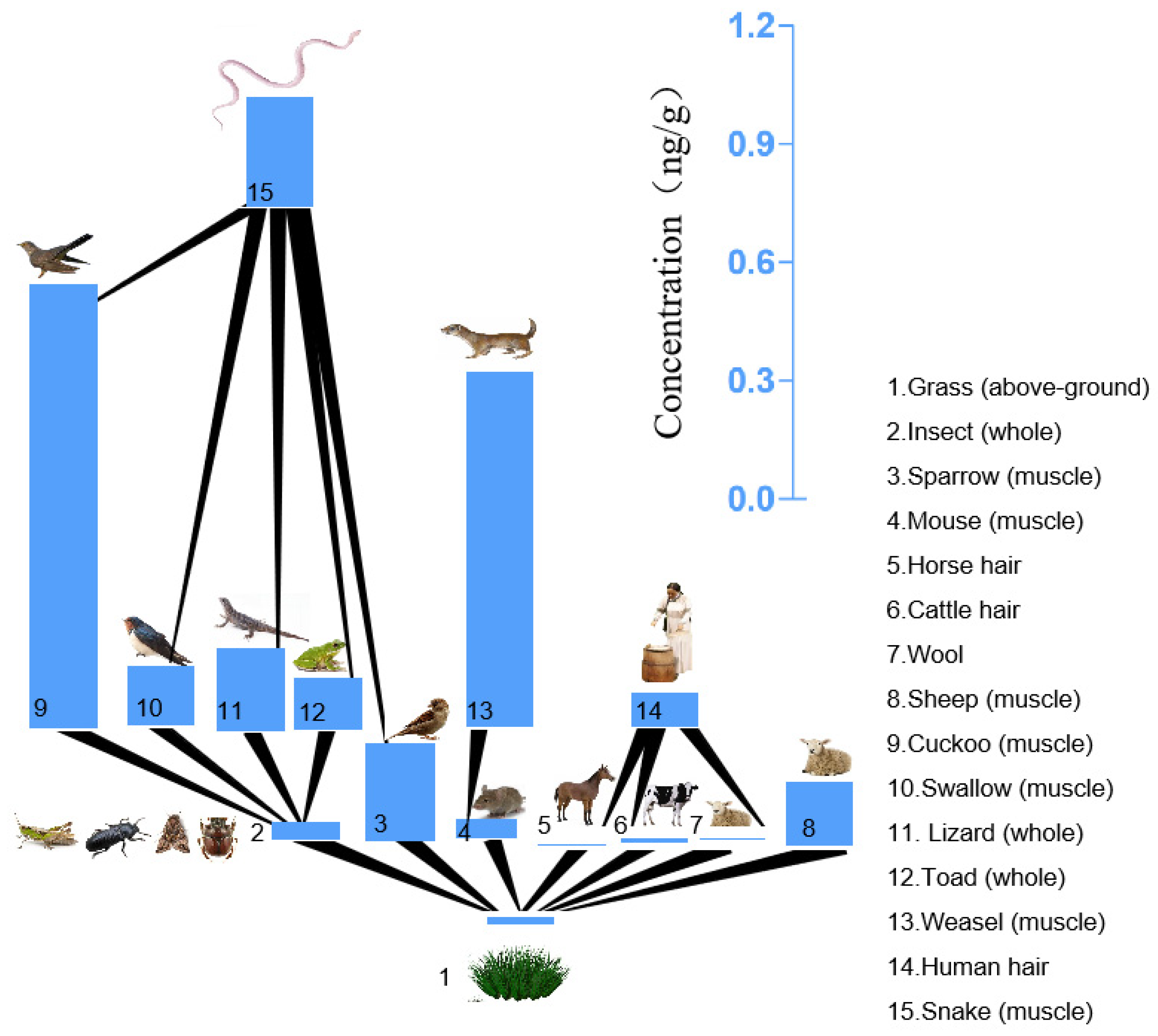 Ijerph 19 12785 g002