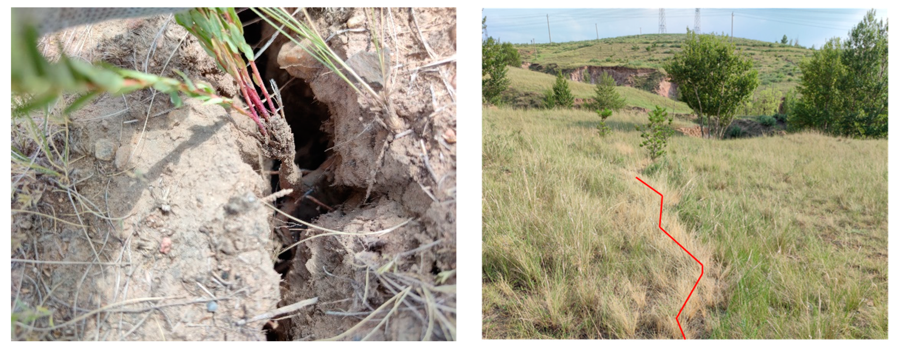 Ijerph 20 00493 g009