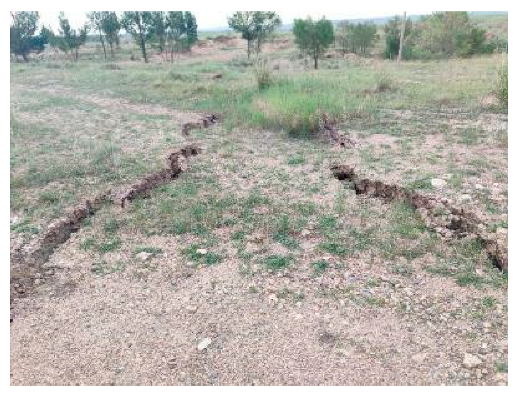 Ijerph 20 00493 g010