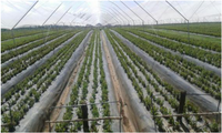 Ijgi 03 00274 g004 200