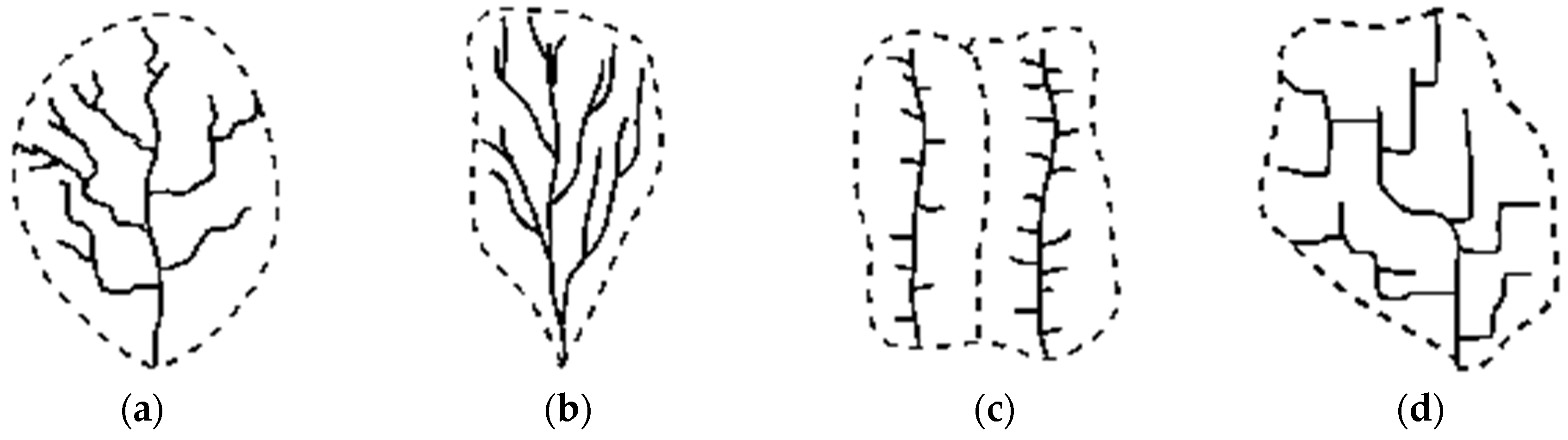 drainage patterns