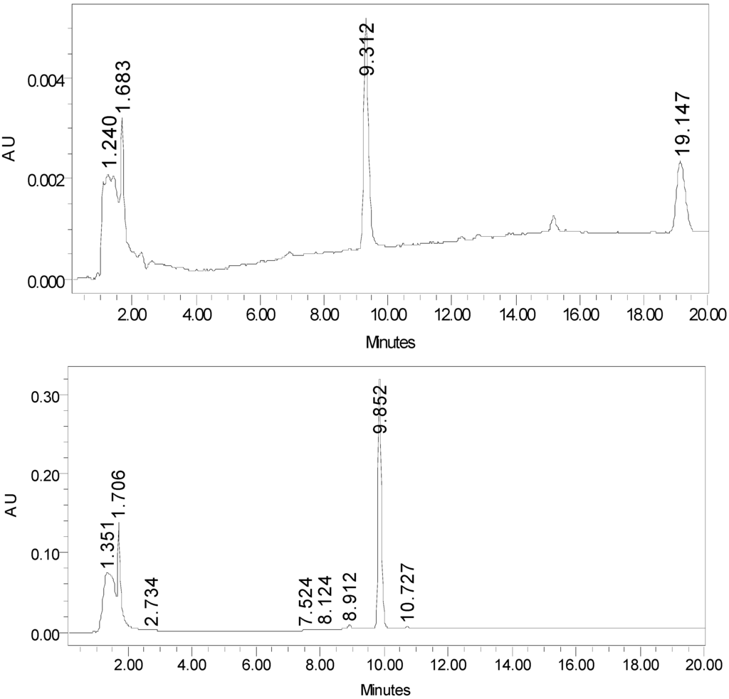 adhesion molecules function and