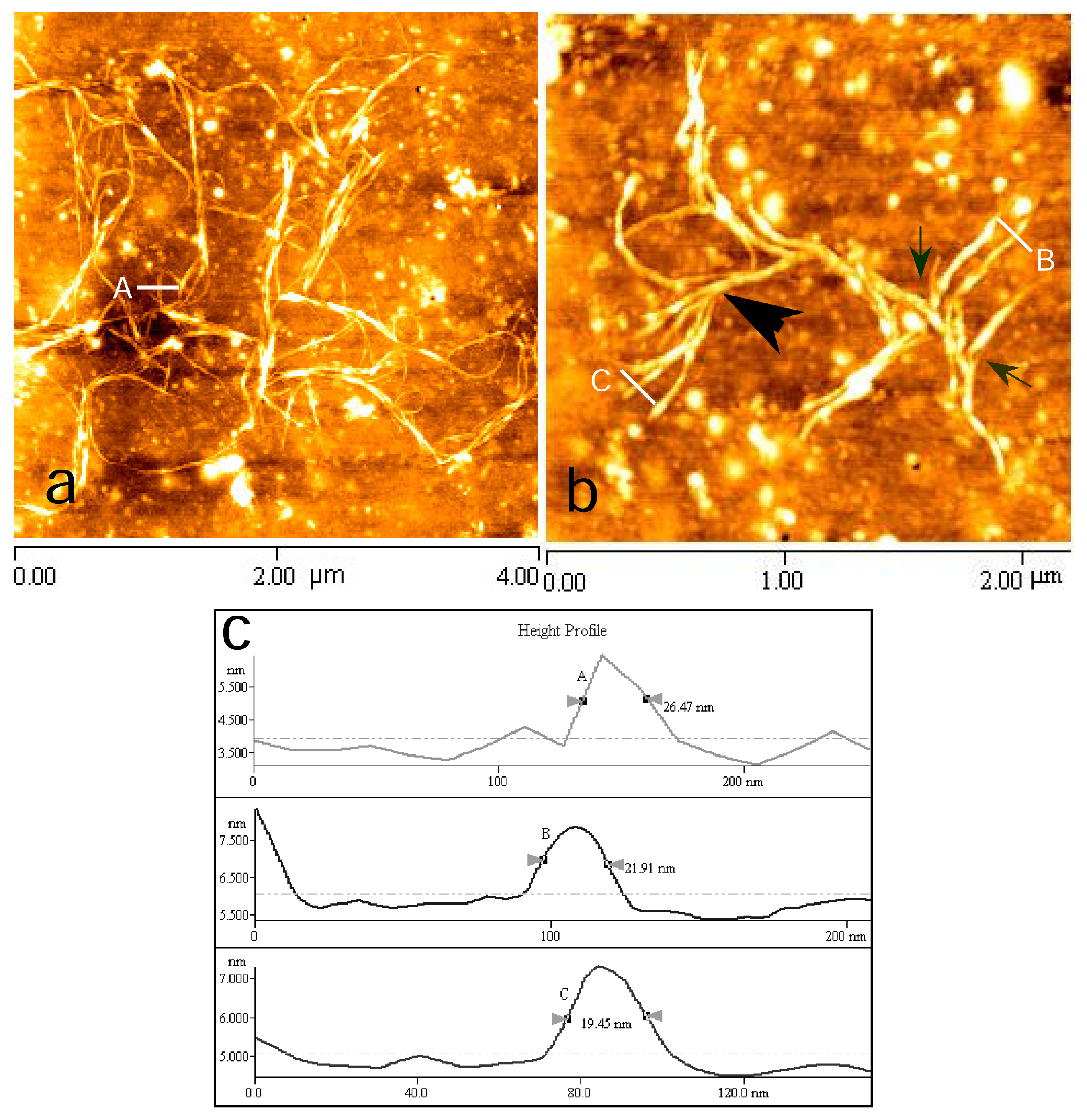 Ijms 08 00001f2