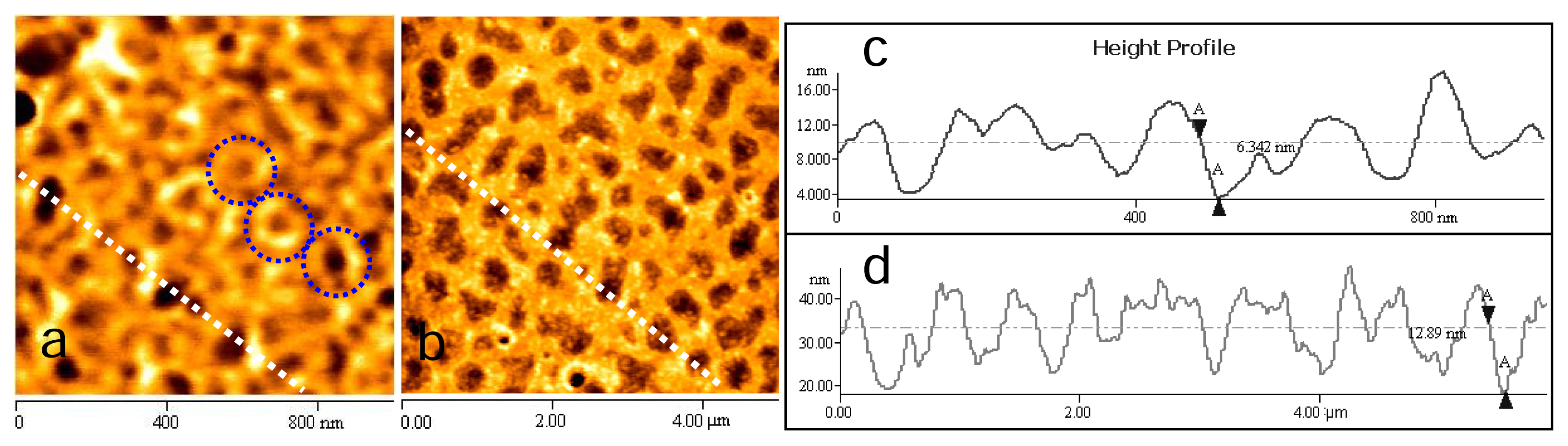 Ijms 08 00001f3