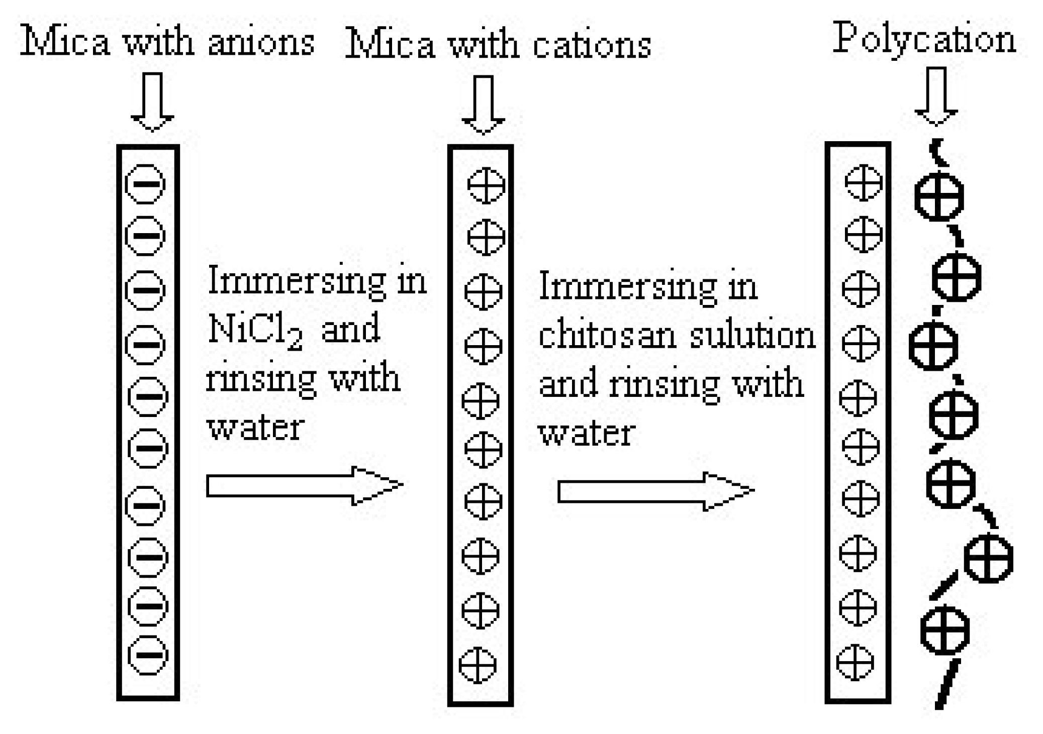 Ijms 08 00001f9