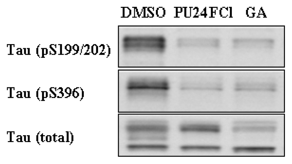 Ijms 08 00051f1 1024