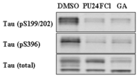 Ijms 08 00051f1 200
