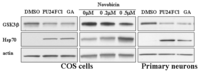 Ijms 08 00051f2 200