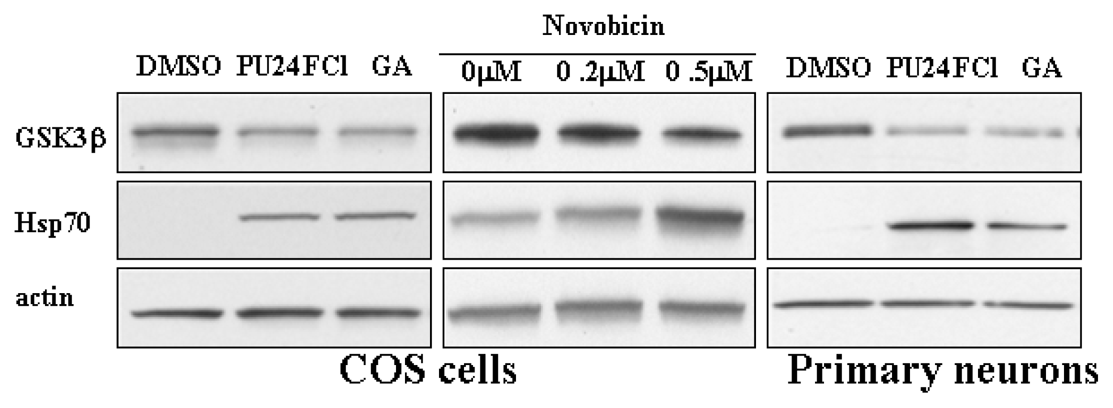Ijms 08 00051f2