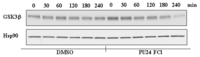 Ijms 08 00051f4 200