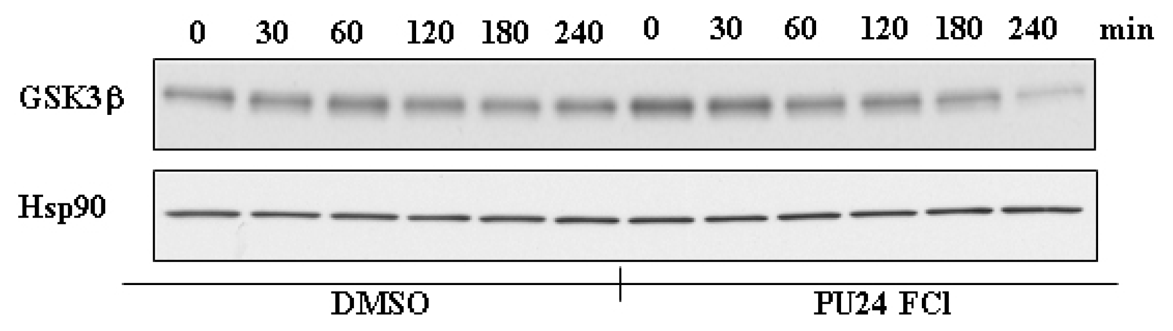 Ijms 08 00051f4