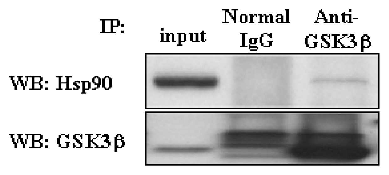 Ijms 08 00051f5