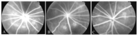 Ijms 08 00061f1 200