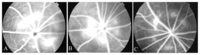 Ijms 08 00061f2 200